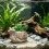 Single piece accent for fish habitat styling and desktop-1 6