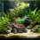 Single piece accent for fish habitat styling and desktop-1 8