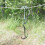 Metal Camping Hook for Small Cookware Bags with Middle Hole, 8