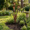 Artificial Calla Lily-Garden Stake 3  Flamed Copper Iron Decor Flower Stake 6