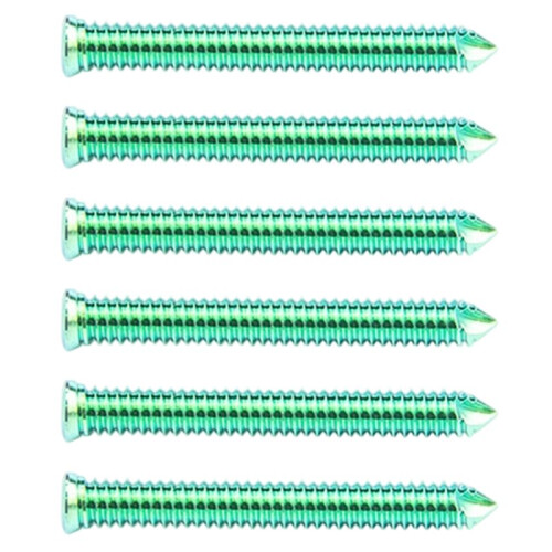 4.0x32mm Titanium Locking Screws for Veterinary Orthopedics and Surgical Instruments 6 Pcs