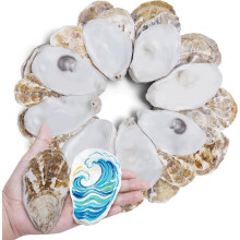 30PCS Flat Oyster Shells, Natural Seashells for Crafts, Decoupage, Beach Wedding Decor & Christmas Ornaments 3"-4"