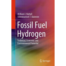 Fossil Fuel Hydrogen Technical Economic and Environmental Potential by