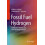Fossil Fuel Hydrogen Technical Economic and Environmental Potential by 1