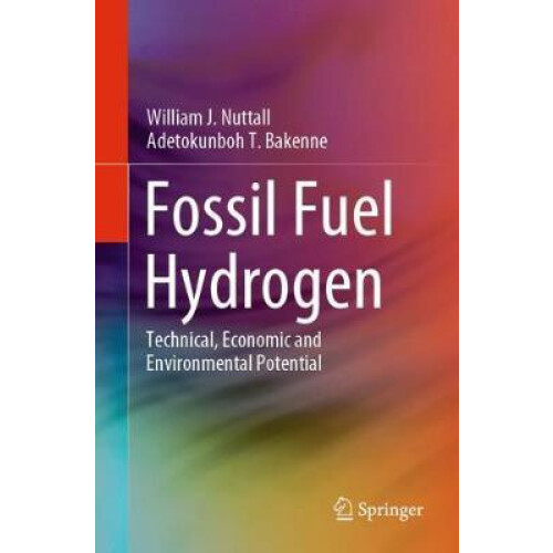 Fossil Fuel Hydrogen Technical Economic and Environmental Potential by