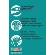 Crinoid Feeding Strategies New Insights From Subsea Video And TimeLaps