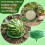 10 Packs Melon Cradles Trellis - Stable Fruit Support Stands to Keep Watermelons,for Raised Beds & Backyard 5