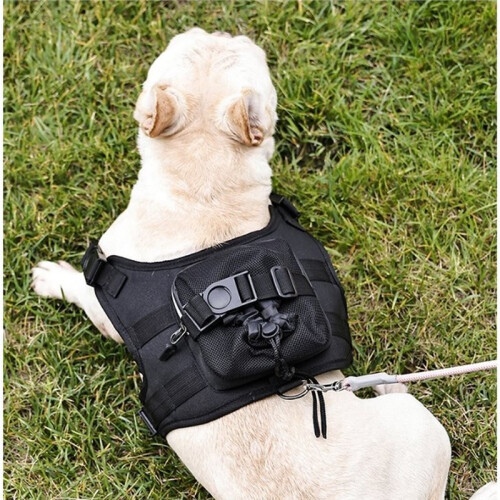 This Backpack, Specifically Designed for Medium to Large-Sized Dogs, is Suitable for Pet Walks, Training 2