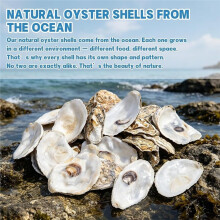 30PCS Flat Oyster Shells, Natural Seashells for Crafts, Decoupage, Beach Wedding Decor & Christmas Ornaments 3"-4"