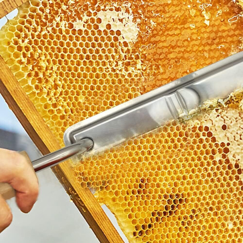 (EU)Beekeeping Outdoor Heating Electric Bee Honey Knife Cutter Temperature Control Uncapping Scraper Bee Extractor 1