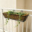 Window Flower Box Holder with Black Iron Structure, 61 x 18 x 12 4