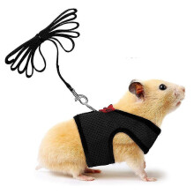 Pet Comfort Wear: Breathable Mesh Fabric For Small Animals, Outdoor Activities With Natural Movements