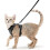 Cat Harness With Leash Kitten Escape-proof Adjustable (xs-s) 1
