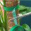 Plant Binding Straps Flower Tape2 8