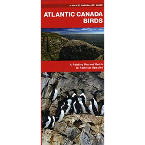 Atlantic Canada Birds by James Kavanagh Paperback Book
