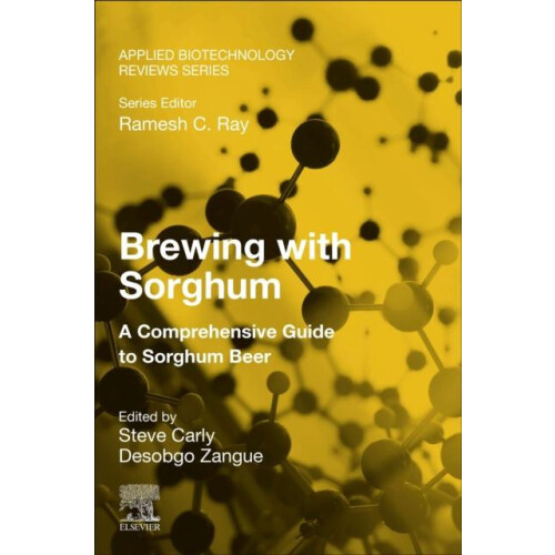 Brewing with Sorghum Paperback Book