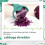 Multifunctional Double- Vegetable Cutter Cabbage Shredder Potato Peeler,Shaving Many with 2 Blades, Cabbage Max 7