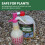 Vitax Vitax Winter Tree Wash Organic Pest Control 500ml 5