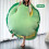 (80cm Ordinary Style) Cute Turtle Shell Sleeping Bag - Wide-Open Cozy Indoor Pillow 4