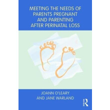 Meeting the Needs of Parents Pregnant and Parenting After Perinatal Lo