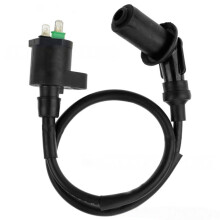 Bobine voor Peugeot Speedfight 1 2 3 4 AC LC en andere Peugeot-modellen