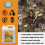 Weed Killer 4x 5L Ready to Use Fast Acting Spray 4