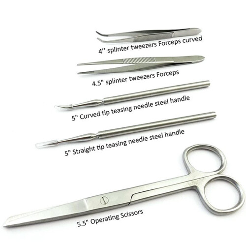 22-Piece Biological Dissection Tool Set-Includes A Storage Case, Suitable for Science Education and Experiments 1