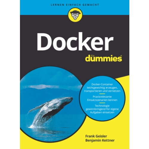 Docker fr Dummies by Frank Geisler Paperback Book