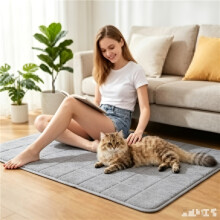 Pet And Human Universal Cooling Mat, Summer Ice Pad, Breathable Cool Cushion, Suitable for Dogs Cats And Humans, Can Be