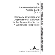 Company Strategies and Organisational Evolution in the Automotive Sect