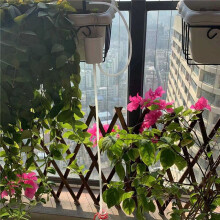 3X 2 Pump Timer System Outdoor Automatic Watering Pump Controller Flowers Plants Sprinkler Drip Irrigation Device