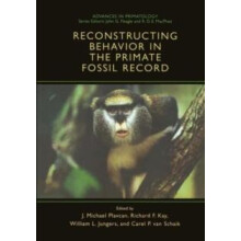 Reconstructing Behavior in the Primate Fossil Record Paperback Book