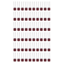 60 Pcs Radial Cables Slow Blowing Micro-Fuse T3.15A 250V
