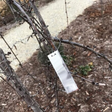 100PCS Aluminum Plant Labels,Metal Tags with Wires for Plant Markers, Tree Tags, Outdoor Identification and Greenhouse
