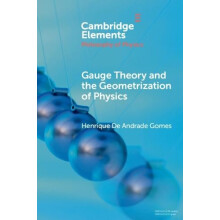 Gauge Theory and the Geometrisation of Physics by Henrique De Andrade