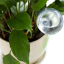 10 Pcs Automatic Watering Device Globes Vacation Houseplant Plant Pot Bulbs Garden Waterer Flower Water Drip Watering