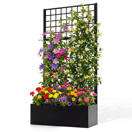 Metal Raised Garden Bed with Trellis - Black 1
