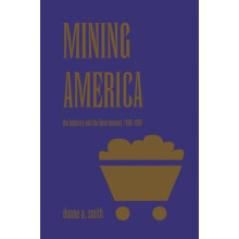 Mining America The Industry and the Environment 18001980 by Duane A. S