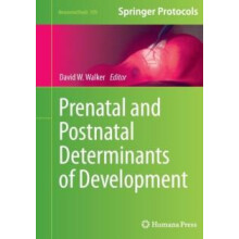 Prenatal and Postnatal Determinants of Development Paperback Book
