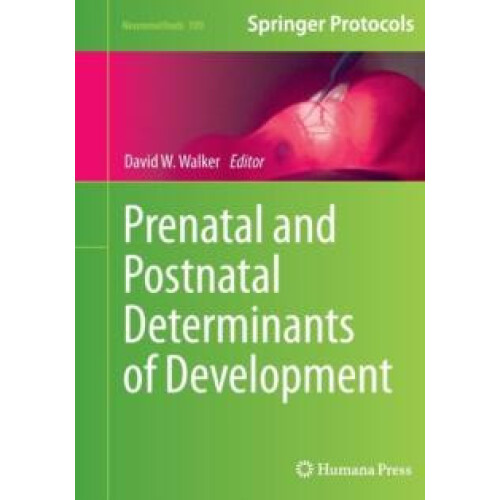 Prenatal and Postnatal Determinants of Development Paperback Book