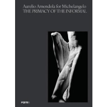 Aurelio Amendola for Michelangelo The Primacy of the Informal by Aurel