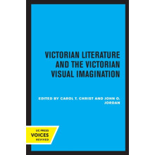Victorian Literature and the Victorian Visual Imagination Paperback Bo