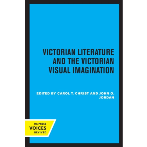 Victorian Literature and the Victorian Visual Imagination Paperback Bo