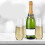 48 Stemless Plastic Champagne Flutes - 9 Oz Plastic Champagne Glasses Clear Unbreakable Toasting Glasses Disposable 7