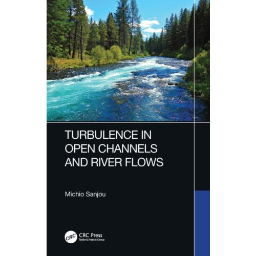 Turbulence in Open Channels and River Flows by Michio Sanjou Paperback