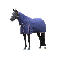 (6' 3", Navy/Burgundy) Weatherbeeta Comfitec Essential Detachable Neck 220g Horse Turnout Rug