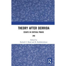 Theory after Derrida Essays in Critical Praxis Hardcover Book