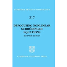 Defocusing Nonlinear Schrdinger Equations by Benjamin Dodson Hardcover