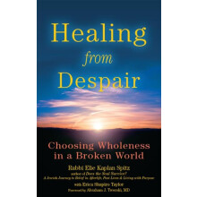 Healing from Despair Choosing Wholeness in a Broken World by Rabbi Eli