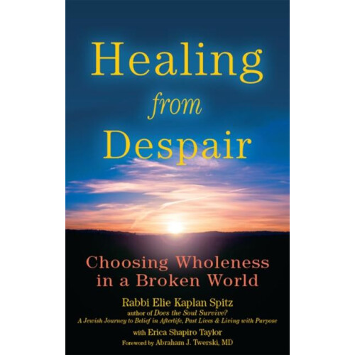 Healing from Despair Choosing Wholeness in a Broken World by Rabbi Eli